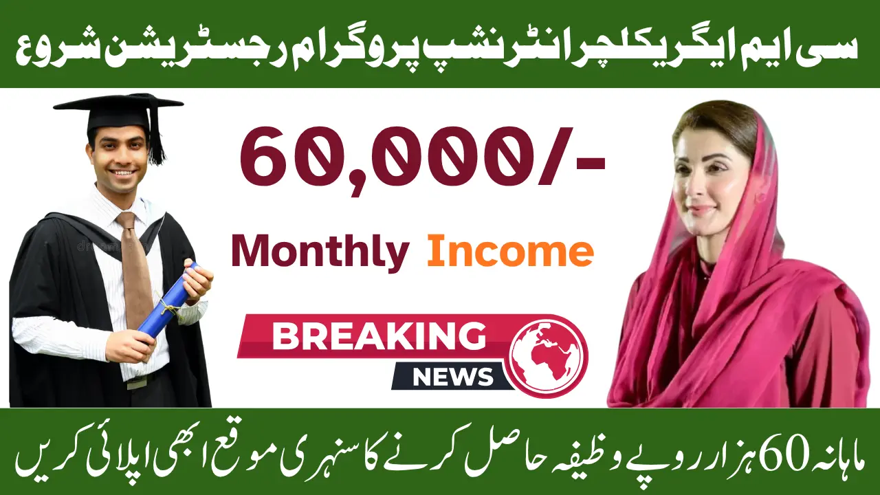 CM Punjab Internship Program 2025 Provide Rs 60,000 Monthly Stipend – Apply Now District-Wise