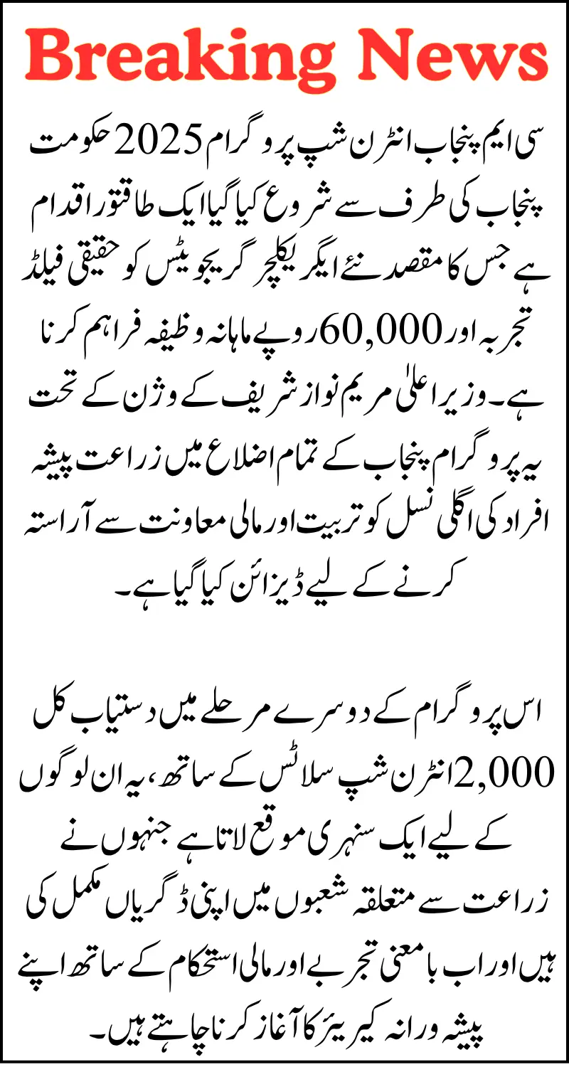 CM Punjab Internship Program