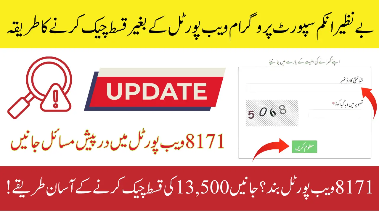 Resolving 8171 Web Portal Issues and Checking BISP Payments 2025