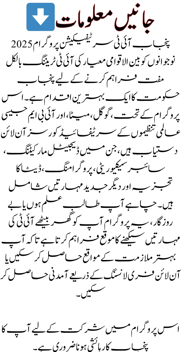 Punjab IT Certification Program 2025