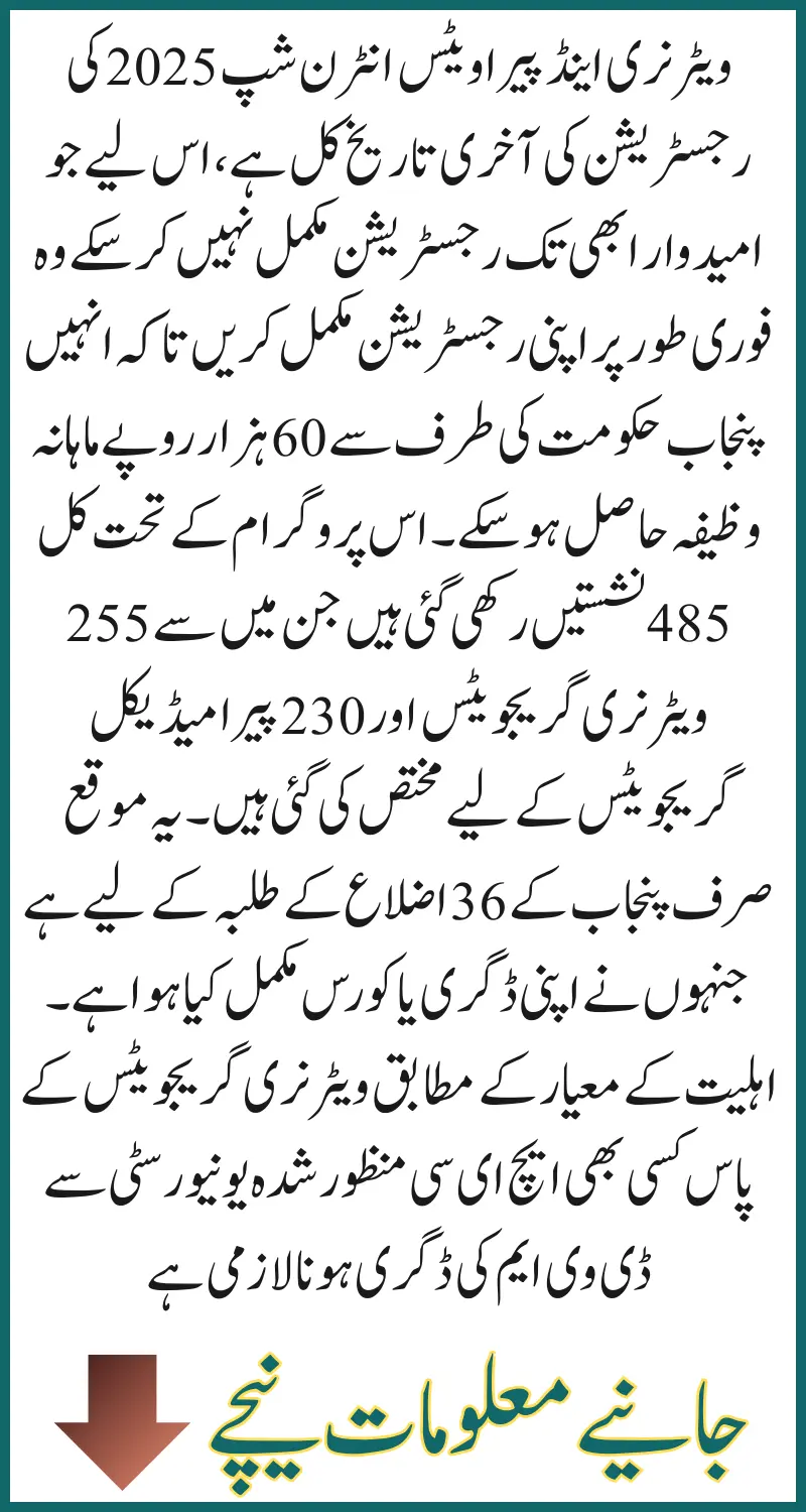 Veterinary and Paravets Internship 2025