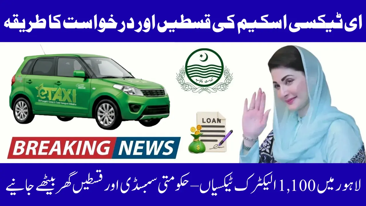 E Taxi Program Payment Structure 2025 – Complete Step-by-Step Guide