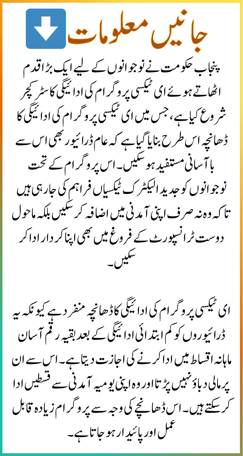 E Taxi Program Payment Structure