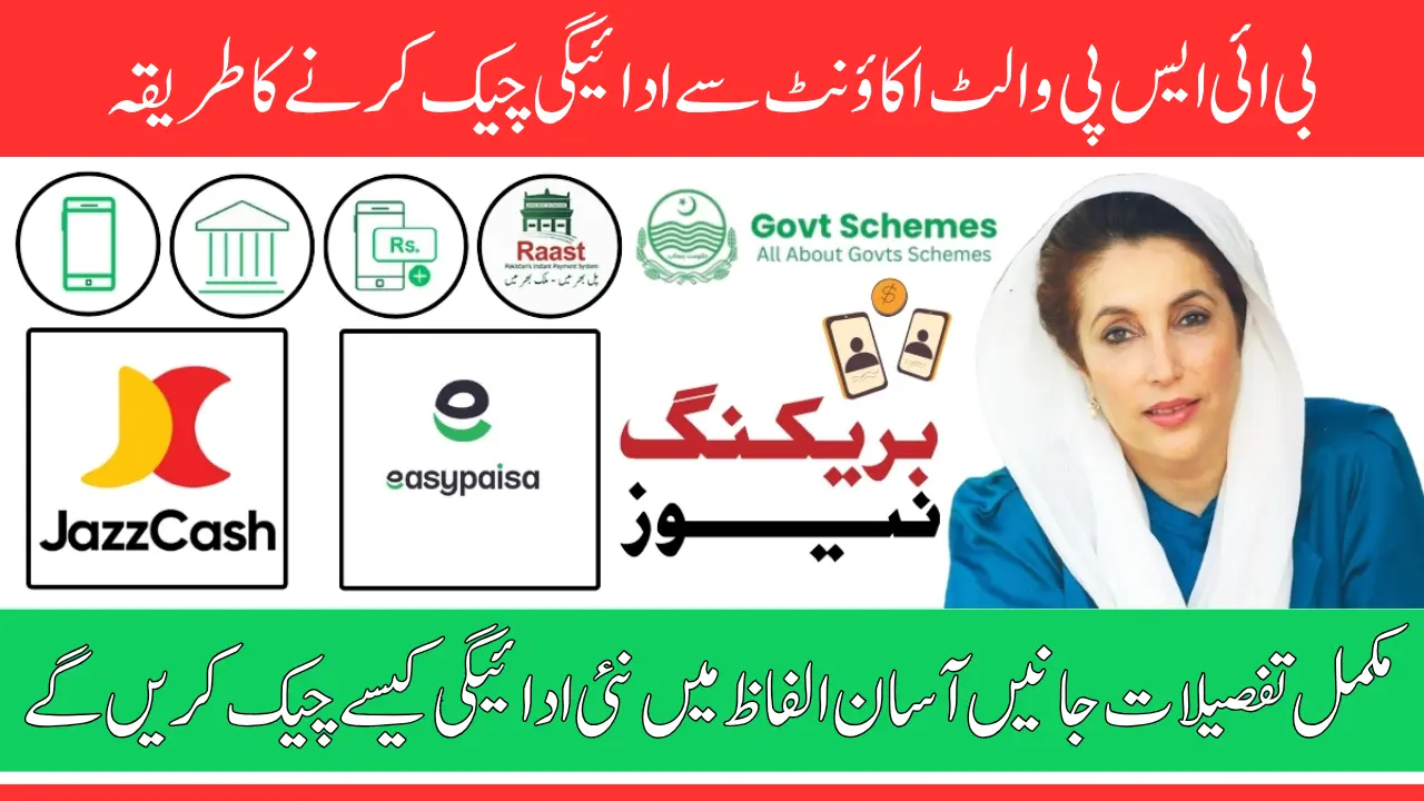 How to Use BISP Wallet Account Payment for Cash Withdrawal, Balance Check & Payments