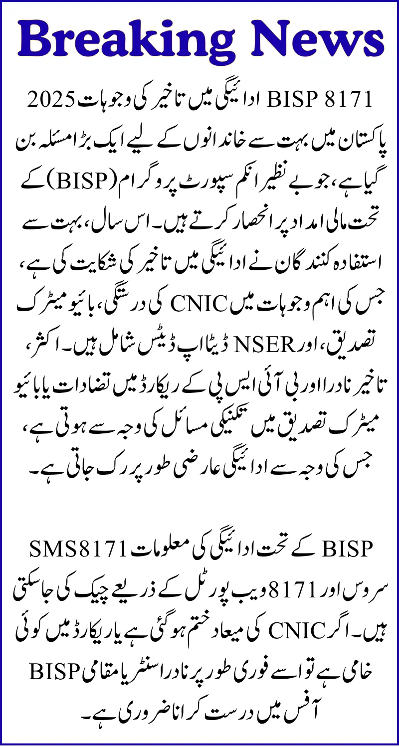 BISP 8171 Payment Delay Reasons