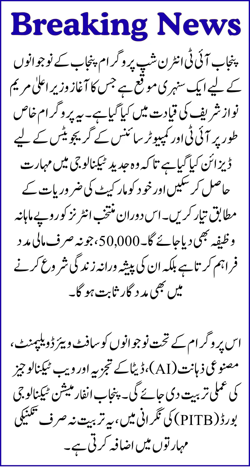 Punjab IT Internship Program